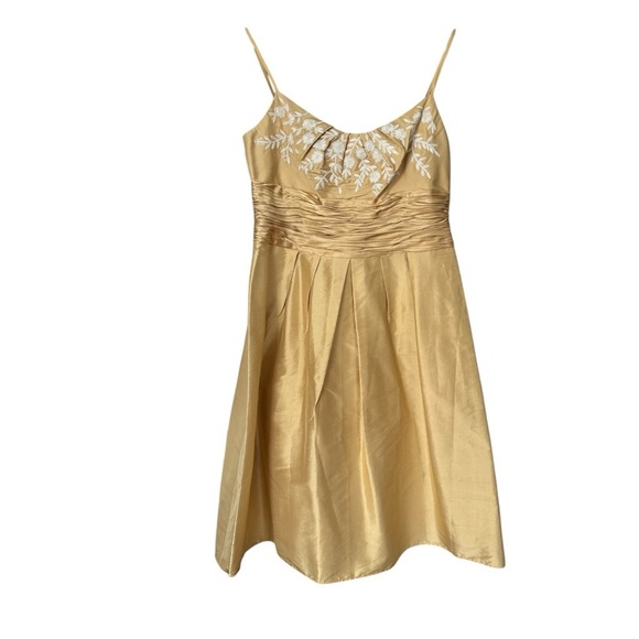 NWT, Anne Klein 100% Silk Special Occasion w/ Embriodery Dress Size 4 - Picture 1 of 9